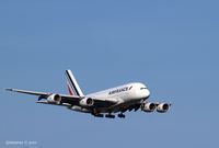 F-HPJD - Landing @ JFK - by gbmax