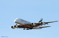 A6-EDD - Landing @ JFK - by gbmax