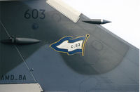 603 @ LFGA - squadron insigna close-up - by olivier Cortot