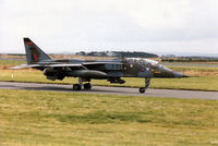 XX146 @ EGQS - Jaguar T.2A of 16 [Reserve] Squadron taxying to Runway 05 at RAF Lossiemouth in September 1993. - by Peter Nicholson