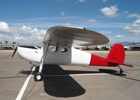 N2874N @ KRYN - Cessna 120 - by Mark Pasqualino