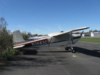 N3683C @ SZP - 1954 Cessna 180, Continental O-470-A 225 Hp - by Doug Robertson