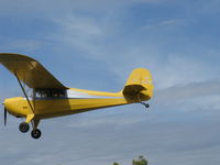 N9361E @ SZP - 1946 Aeronca 11AC CHIEF, Continental C65 65 Hp, on final Rwy 22 - by Doug Robertson