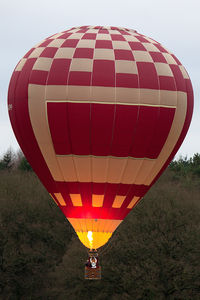 G-BXPP - At the 2013 Icicle Balloon Meet, Savernake Forest, Wilts. - by Howard J Curtis