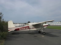 N3683C @ SZP - 1954 Cessna 180, Continental O-470-A 225 Hp - by Doug Robertson