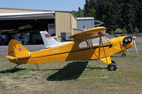 N48612 @ AW0 - The usual yellow scheme on a Cub - by Duncan Kirk