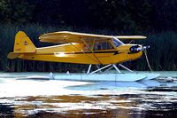 N33587 @ 96WI - Piper L-4J Cub [14064] Oshkosh-Lake Winnebago Seaplane Base~N 30/07/2008 - by Ray Barber