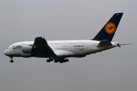 D-AIMD @ EDDF - Lufthansa Airbus A380 - by Thomas Ranner