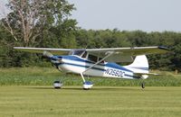 N3560C @ 7V3 - Cessna 170B - by Mark Pasqualino
