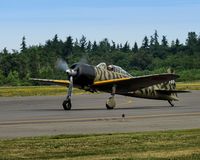 N3852 @ KPAE - Flying Heritage Collection.....Pacific Legends Free Fly Day - by Terry Green
