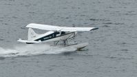 C-FJIM @ CYHC - Tofino Air Beaver taking off in the rain in Coal Harbour. - by M.L. Jacobs
