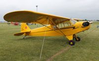 N6340H @ KOSH - Piper J3C-65 - by Mark Pasqualino