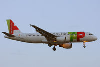 CS-TNH @ EGLL - TAP - Air Portugal - by Chris Hall
