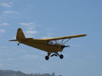 N98425 @ SZP - 1946 Piper J3C-65 CUB, Continental C90 90 Hp upgrade, takeoff climb Rwy 22 - by Doug Robertson