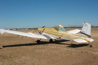 N9138G @ MYV - 1973 Cessna A188B, c/n: 18801390 - by Timothy Aanerud