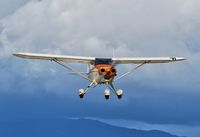 N75MP @ EMT - Piper Tri Pacer Landing El Monte - by Rich Spellman