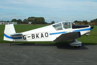 G-BKAO @ EGBR - at Breighton's Pre Hibernation Fly-in, 2013 - by Chris Hall