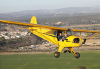 N33112 @ KLPC - At West Coast Piper Cub Fly-in 2013 Lompoc Calif - by Michael Madrid