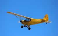 N51534 @ KOSH - Piper J3C-65 - by Mark Pasqualino