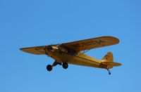 N51534 @ KOSH - Piper J3C-65 - by Mark Pasqualino