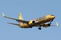 D-ATUD @ LMML - B737-800 D-ATUD Tuifly special colours - by Raymond Zammit
