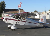 N5229H @ SZP - 1949 Piper PA-16 CLIPPER 'Little Devil', Lycoming O-290 135 Hp - by Doug Robertson