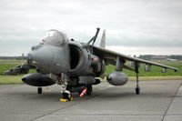 ZD375 @ EBFN - Royal Air Force Harrier GR7 of No 1 sqn at Koksijde Air Base, Belgium - by Henk van Capelle