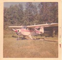 N2806P - My dad owned this airplane back in the early 1970's. - by Dale Waller