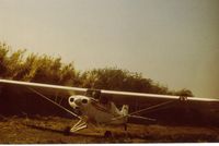 N6995B - Takeoff from a private strip near Rio Vista,Ca. Bob shown here flying 95B, was the best naturally gifted pilot I personally ever knew. He also owned over 40 planes with 95B being his last and he felt his best. It was a privilege to watch Bob fly 95B. - by S B J