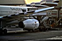 HZ-AQI @ OERK - At Riyadh Airport in The Early Morning parking getting ready for another flight - by Odai Ayyad