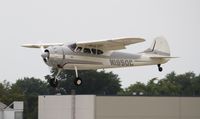 N1950C @ KOSH - Cessna 195B - by Mark Pasqualino