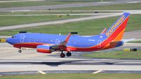 N273WN @ TPA - Southwest 737-700 - by Florida Metal