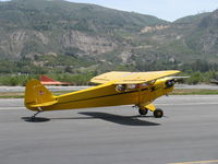 N98425 @ SZP - 1946 Piper J3C-65 CUB, Continental C90 90 Hp upgrade, taxi - by Doug Robertson