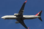 TC-JFN @ EDDL - Turkish Airlines - by Air-Micha
