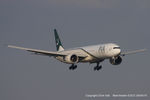 AP-BHV @ EGCC - PIA Pakistan International Airlines - by Chris Hall