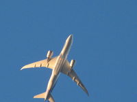 CC-BBD @ NZAA - So near!!! Over my home this morning whilst banking out to Sydney. - by magnaman