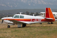 F-GLSM photo, click to enlarge