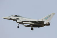 1022 @ LMML - Eurofighter  EF-2000 Typhoon 1022(ZK393) of Royal Saudi Air Force. - by Raymond Zammit