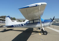 N180KR @ KRHV - A local 1980 Cessna 180K at its tiedown at Reid Hillview Airport, CA. - by Chris Leipelt