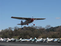 N8250A @ SZP - 1952 Cessna 170B, Continental C-145-2 145 Hp, 6 cylinder, takeoff climb Rwy 22 - by Doug Robertson