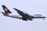 D-AIMF @ EDDF - Lufthansa - by Air-Micha