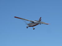 N1603G @ SZP - 1968 Champion 7ECA CITABRIA, Lycoming O-235 115 Hp, takeoff climb Rwy 04 - by Doug Robertson