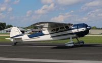 N2165C @ KOSH - Cessna 195B