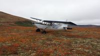 N53AT - N53AT, foothills of the Alaska Range. - by C. Fithian