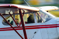 N3229M - Anchorage, Alaska - by Brian Edward Stevens