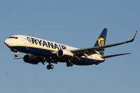 EI-ENI @ LMML - B737-800 EI-ENI Ryanair - by Raymond Zammit