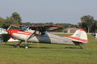 N3156A @ KOSH - Cessna 170B - by Mark Pasqualino