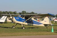 N170RP @ KOSH - Cessna 170B - by Mark Pasqualino