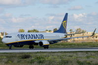 EI-DCZ @ LMML - B737-800 EI-DCZ Ryanair - by Raymond Zammit