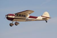 N2151C @ LAL - Cessna 195B - by Florida Metal